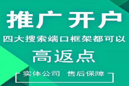 百度SEO优化公司案例详解：如何制定有效的推广计划